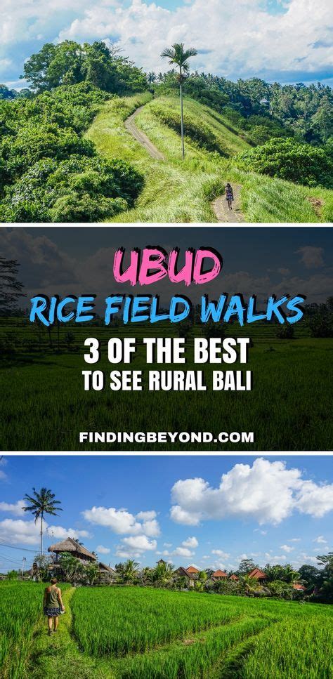 Ubud Rice Fields Walk 3 Of The Best To See Rural Bali Finding Beyond Asia Travel Cool