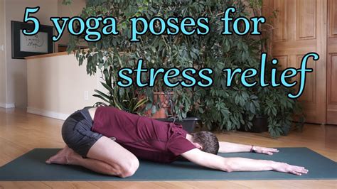 Huge thank you to stonyfield for teaming up with me on this yoga for stress relief sequence. 5 Yoga Poses for Stress Relief - YouTube