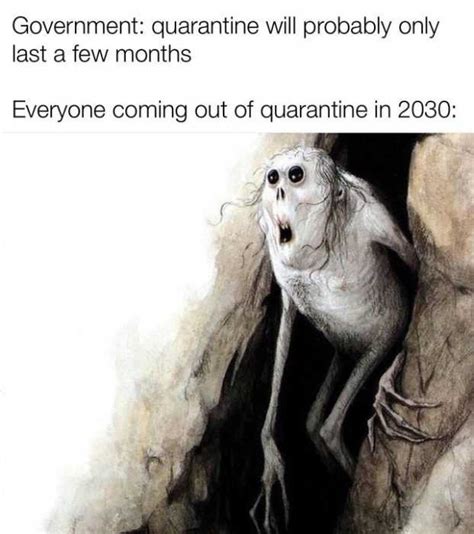 32 More Funny Quarantine Memes | #QuarantineLife #stircrazy