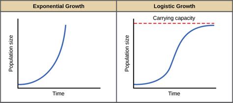 Environmental Limits To Population Growth Boundless Biology