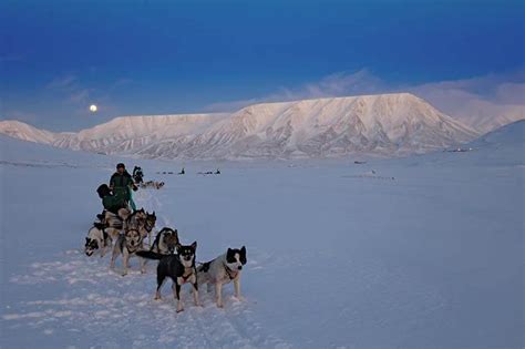 Visiting Svalbard Travel Guide Fun Facts And Top Tips For Your First Trip