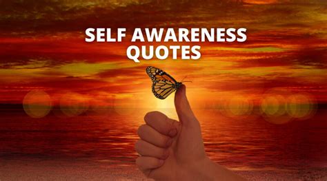 65 Self Awareness Quotes On Success In Life Overallmotivation