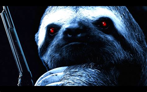 8 Sloth Hd Wallpapers Background Images Wallpaper Abyss