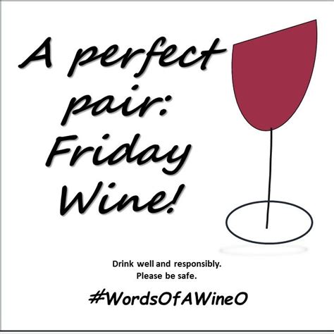 A Perfect Pair Friday Wine Wine Funny Wine Quote Wine Meme Wine
