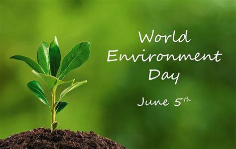 Hari Lingkungan Hidup Sedunia Juni Hari Lingkungan Hidup Sedunia Yuk Kita Jaga Bumi Ini