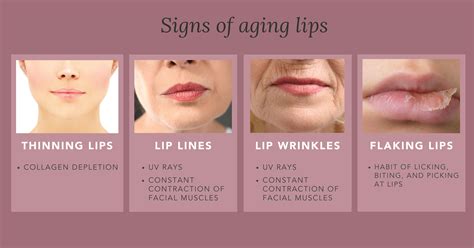 understand how your lips age and how to prevent premature aging lips