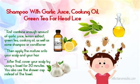 Home Remedies To Get Rid Of Lice Fast Naturally Head Lice Remedy