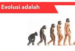 Evolusi Adalah Definisi Sifat Prinsip Jenis Contoh