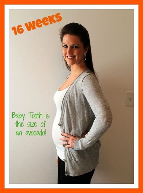 16 Weeks Pregnant Baby Bump Sweet Tooth Sweet Life