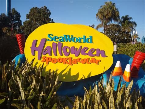 Behind The Thrills Seaworld San Diego What To Know Before You Go