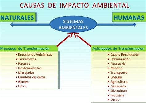 Cu Les Son Las Causas Del Impacto Ambiental Blog Did Ctico