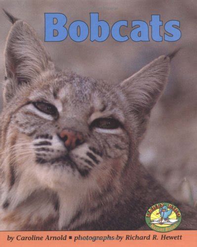 Bobcats Early Bird Nature Books By Arnold Caroline
