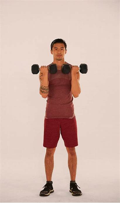 Exercises Rear Delt Shoulder Press Arnold Exercise