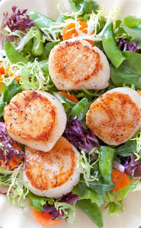 From wedge salads and shrimp salads to pasta salads and fruit salads, there is truly a recipe here for every palette. Summer Dinner Salad with Scallops: Sea scallops cook in minutes and add substance to a simple ...