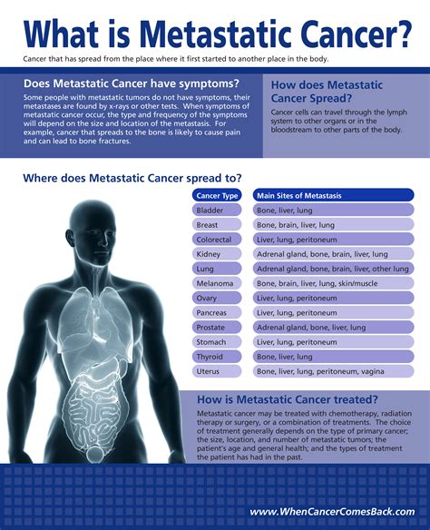 Lung cancer is a cancer that begin in the lungs, one of our body's most fragile organs. Metastatic Cancer | Austin CyberKnife