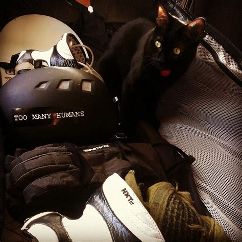 Stealth Cat Helping Me Pack Snowboarding
