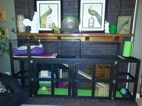 Custom Rabbit Cage For My English Lop Bunnies ️ Pinterest