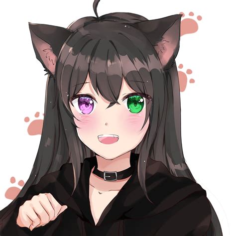 Finished A Nekomimi Commission Ranimeart