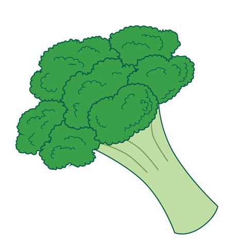 Download High Quality broccoli clipart small Transparent PNG Images