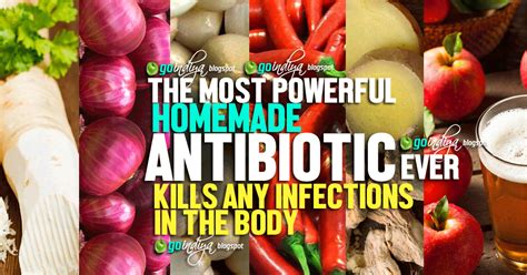 Best Homemade Antibiotic Ever Kills Any Infections In The Body