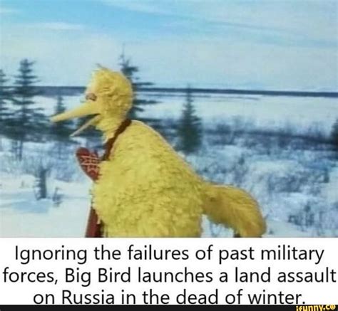 Funny Big Bird Memes Funny Memes Fun