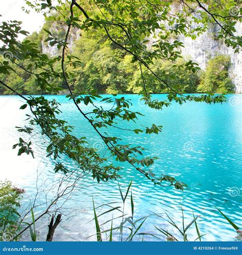 Turquoise Lake Stock Photo Image Of Croatia Protection 4210264