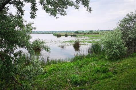 Danube Delta And Areas Danube Delta