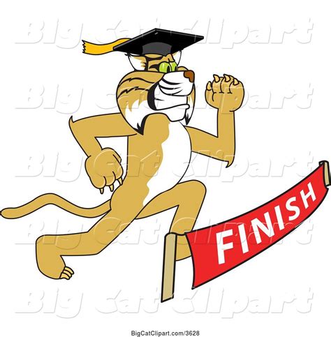 Vector Clipart Of A Cartoon Determined Bobcat School Mascot Graduate