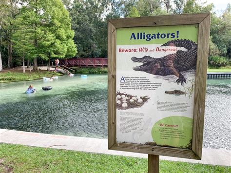 rock springs kelly park guide orlando s natural lazy river 2023