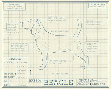 Dog Breed Blueprint Custom Pet Portrait Beagle Puppy Poster Etsy