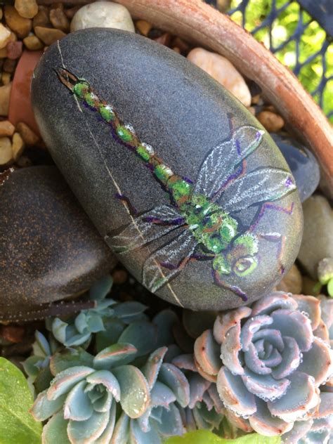 Dragonfly Painted Beach Rock