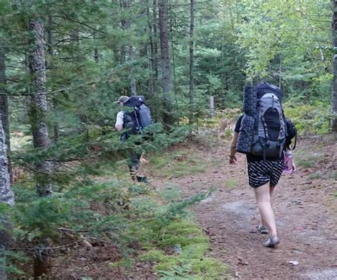 Two People With Backpacks Walking In The Woods
