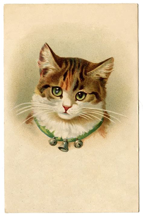 Vintage Image Cat Graphicsfairy21 The Graphics Fairy