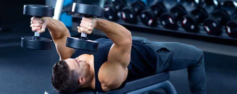 Les Meilleurs Exercices Pour Triceps Psm