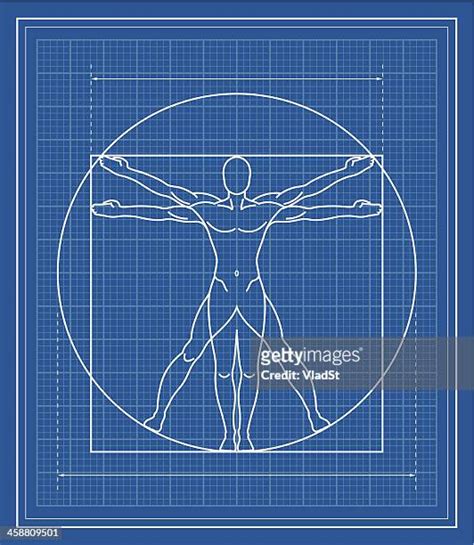 Human Body Blueprint Photos And Premium High Res Pictures Getty Images