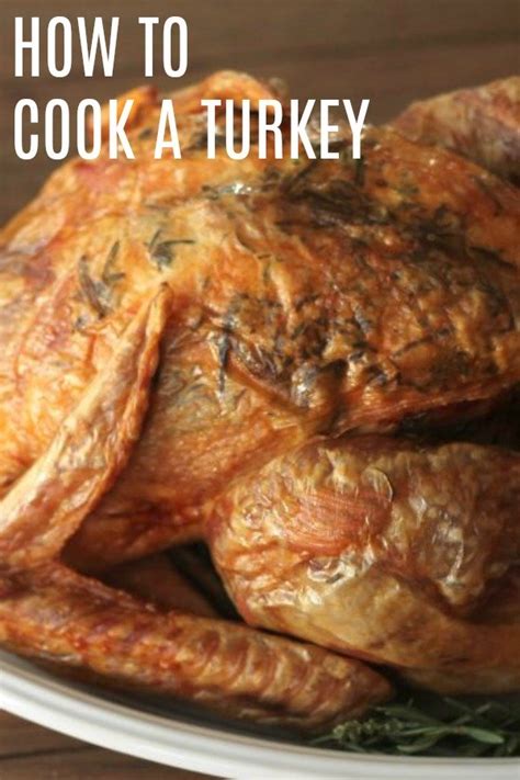 How To Cook A Turkey In A Convection Oven Recipe Recipe Convection Oven Recipes