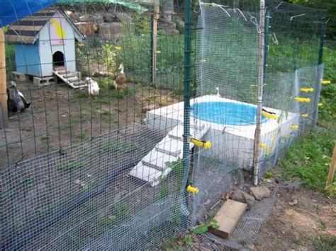 I also didn't want to waste a lot of water so i designed it to drain into my vegetable garden. Jacuzzi-style duck pond. Drain in bottom of kiddie pool ...