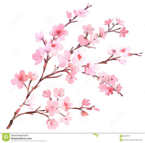 Cherry Tree Pink Blossom Stock Illustration Illustration Of Painting