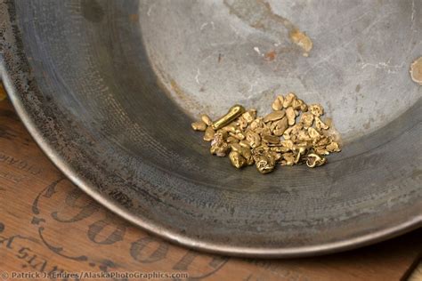 Gold Nuggets In A Gold Pan Panning For Gold