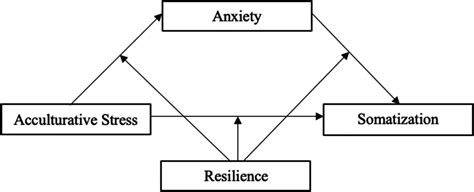 Influence Of Resilience On The Relations Among Acculturative Stress