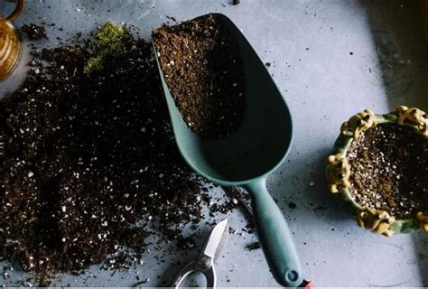 Maybe you would like to learn more about one of these? Soil Requirements of Garlic, Types of Soil Fit For Garlic ...