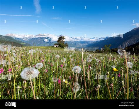 Landscape Of The Ecrins Hi Res Stock Photography And Images Alamy