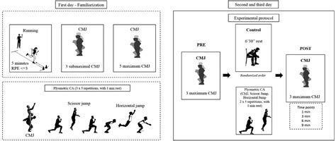 Frontiers Temporal Response Of Post Activation Performance