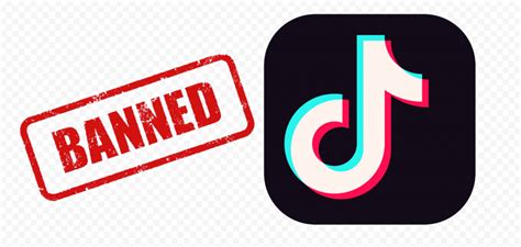 30 Best Pictures Tiktok App Logo Transparent Tiktok Logo Farbverlauf