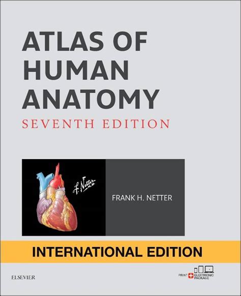 Atlas of Human Anatomy International Edition: Buy Atlas of Human