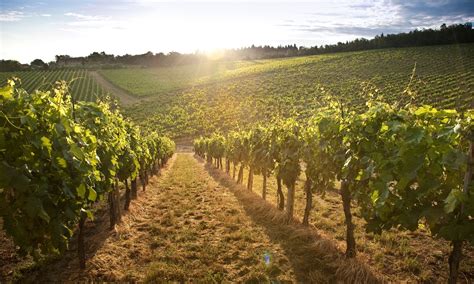 7 wineries of Umbria that are sure to impress — Vero