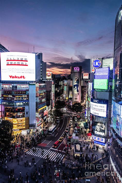 Shibuya Crossing At Dusk Photograph By Allyson Goto Pixels