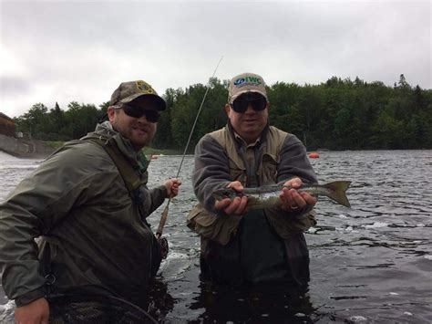 Saco River Guided Trout Fishing Adventures White Mountain Anglers
