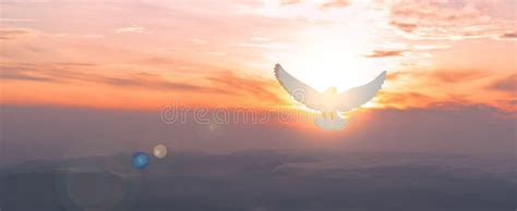 Doves Fly In The Sky Christians Have Faith In Holy Spirit Silhouette