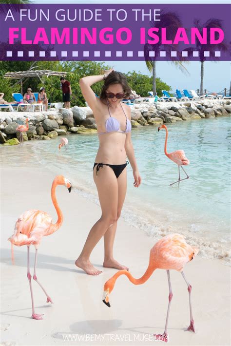 Flamingo Island Aruba How To Visit Is It Worth It Caribbean Travel Practical Travel
